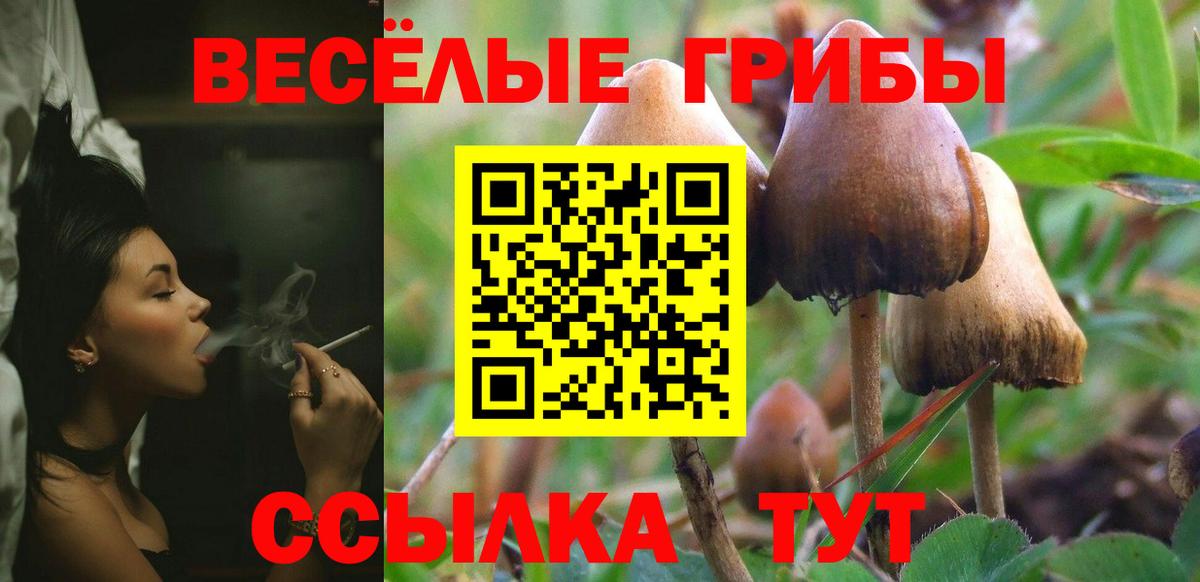 Черняховск  Псилоцибиновые грибы Magic Shrooms  Псилоцибиновые грибы GOLDEN TEACHER  хочу   Вход с VPN 